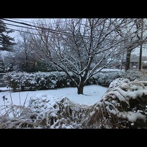 Meet your Posher, Savitha